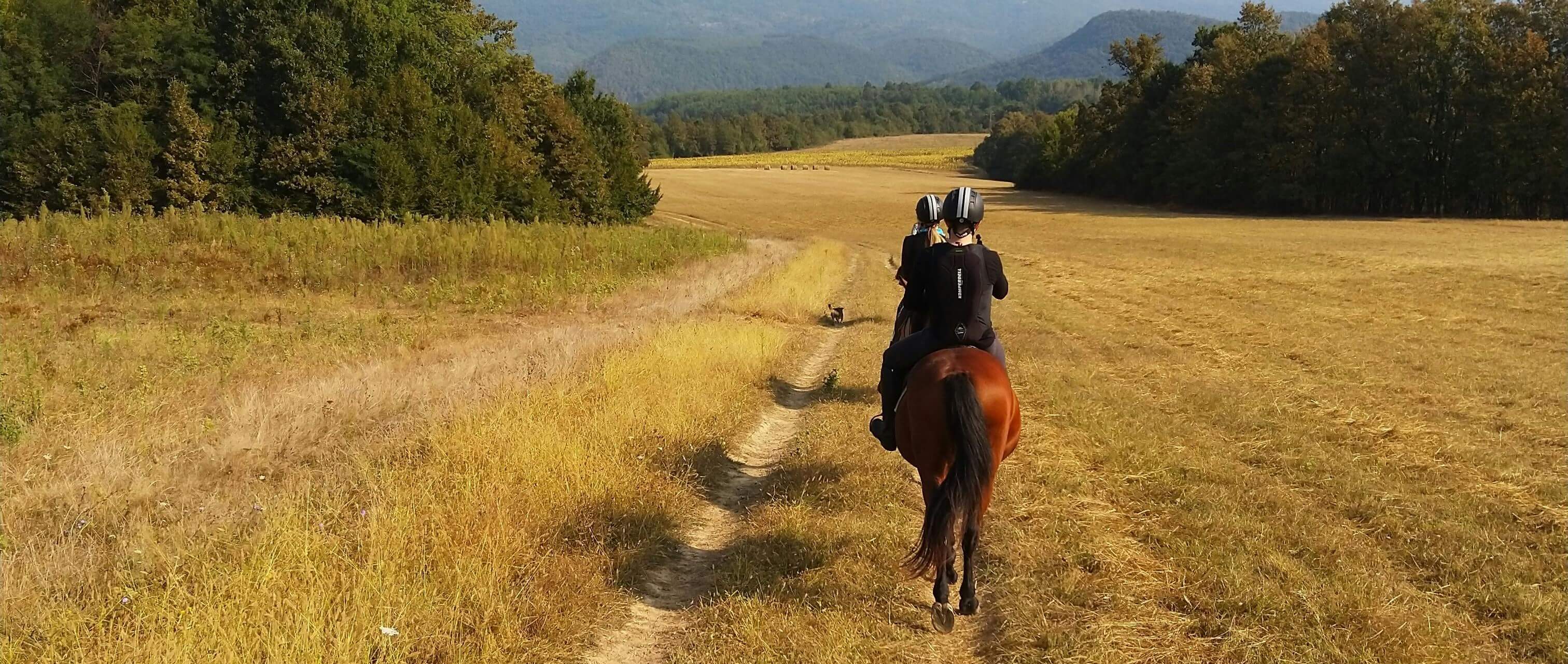 En ridgrupp som rider över en stor åker en sommardag